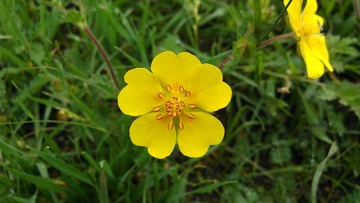 C360_2014-07-14-11-36-14-808_org