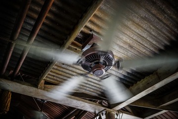 _DSC0019