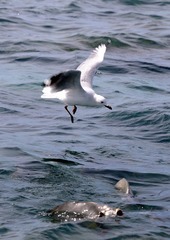 DSC_1680.JPG