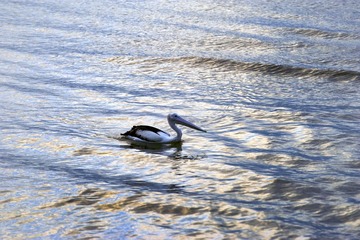 DSC_1793.JPG