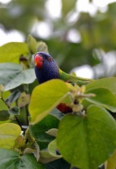 DSC_1567.JPG