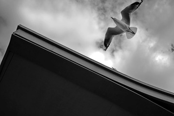 L1000463
