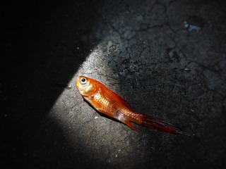 C360_2014-04-30-11-03-30-018 (3)