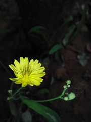 C360_2014-05-10-15-21-01-100