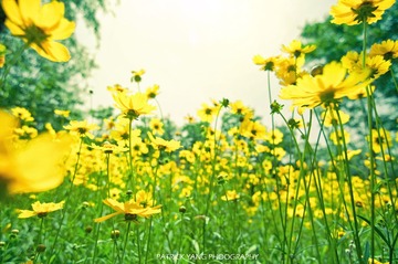 DSC_0562-编辑.jpg