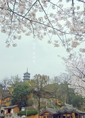 鸡鸣寺-1