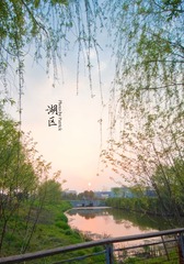 夕阳带签名