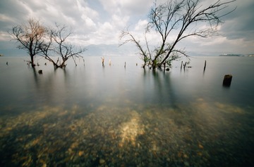 IMGP1299 (2)
