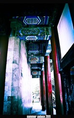 IMG_4995.jpg