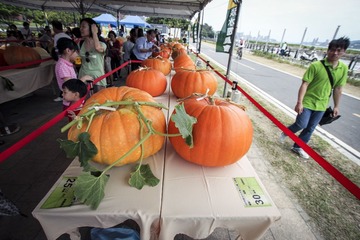 IMG_6925-18.JPG