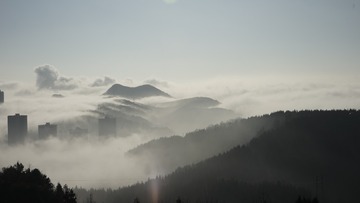 _DSC2795