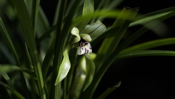 _DSC3365