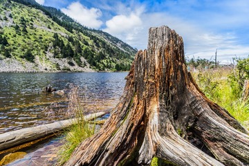 _DSC0583