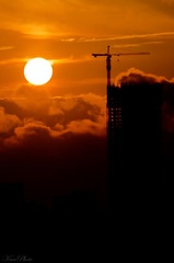 夕阳2