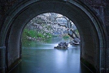 太子湾春