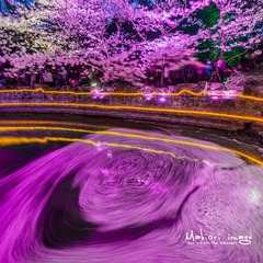 漩樱