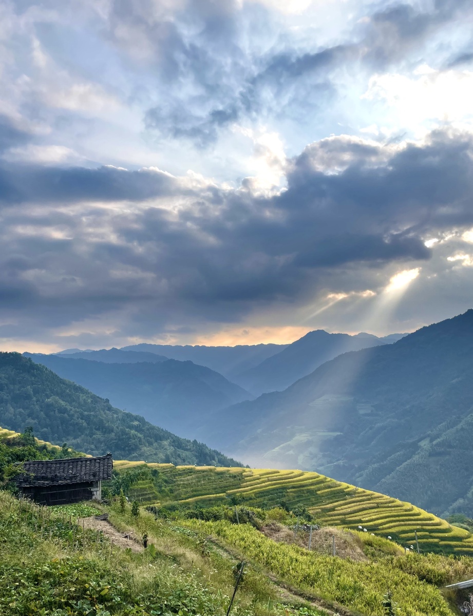 晨间洒在梯田上的一缕光