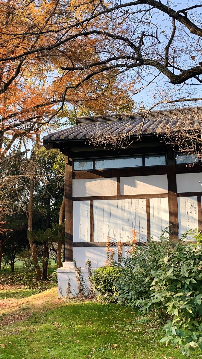 秋天的房屋一角 - 浮城梦魇丶 - 图虫