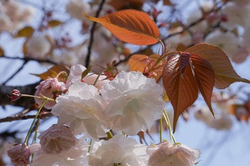 C976503E-B0DF-4A58-81B5-F512D17ACF25/L0/001
