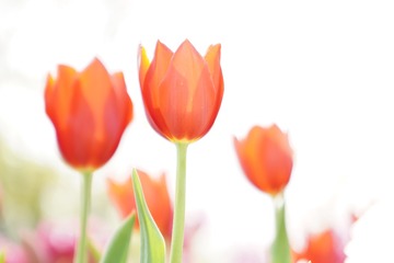 F936517C-3970-45D9-9016-6FD2FCA0ABBD/L0/001