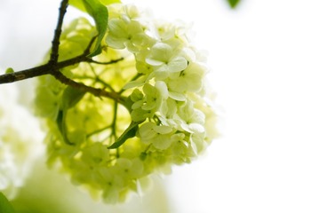 8F1FF913-EA29-4319-A680-FA0D5DF2AB5C/L0/001