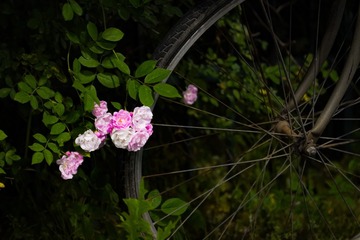 2589F48A-2F08-4CC3-B8C3-6D068F7A4A16/L0/001