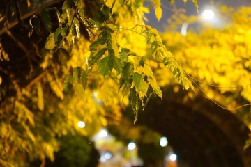 A57D7984-F30B-430E-A32D-94B2855D4BAB/L0/001