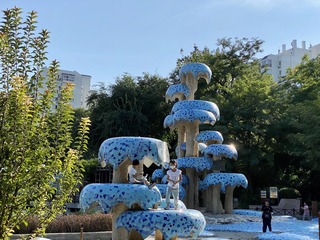看风景