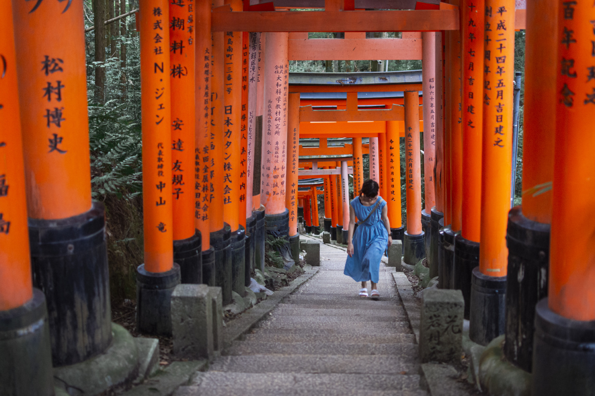 伏见稻荷大社千本鸟居 - elvisphotography - 图虫