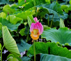 001