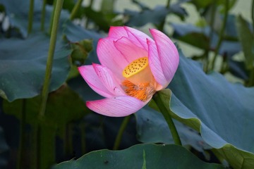 001