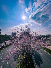 21C9891D-7211-4C45-8547-B225DAECC0F1/L0/001