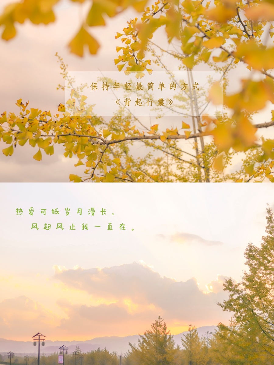 请保持对生活的热爱奔赴下一场山海