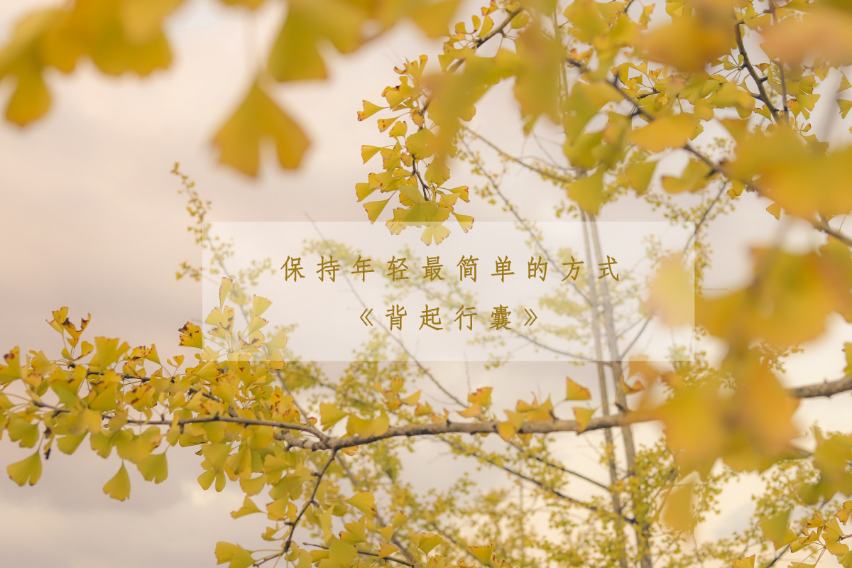 热爱可抵岁月漫长风起风止我都在