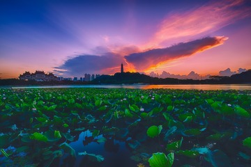 顺丰清晨