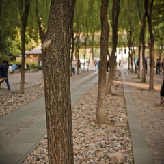 P1000242
