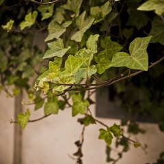 P1000232