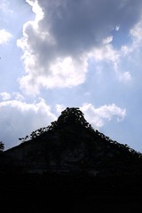 _1020079