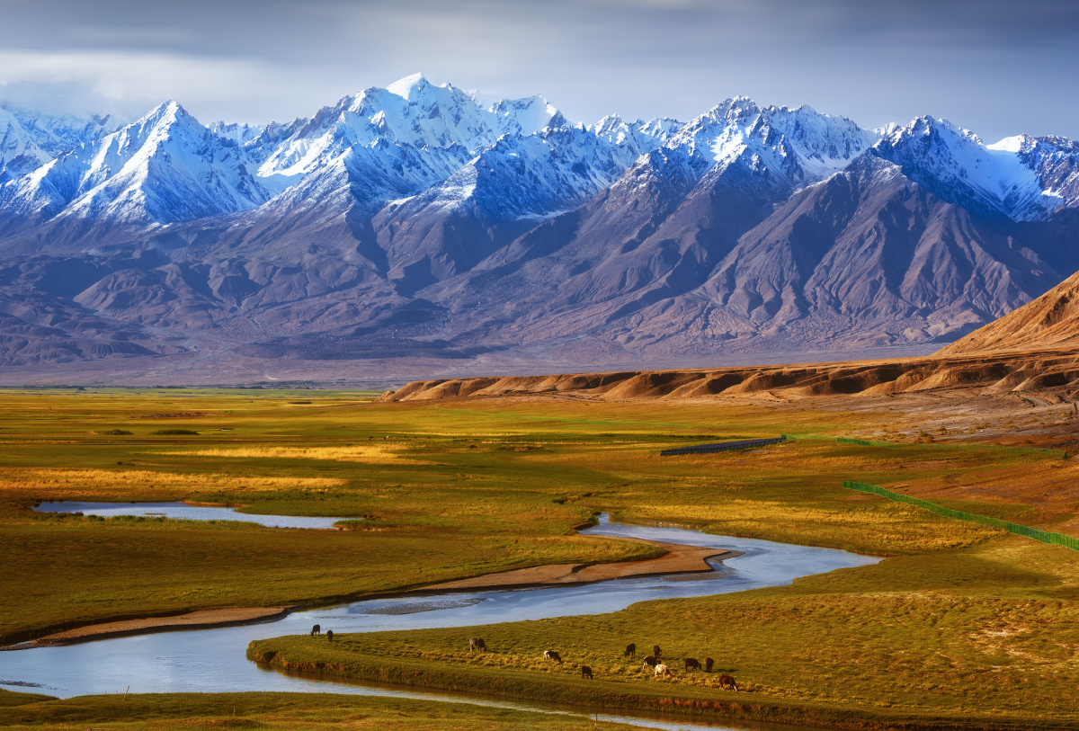 新疆塔合曼湿地