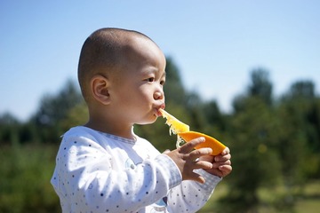 10-DSC06541