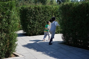 10-DSC06568