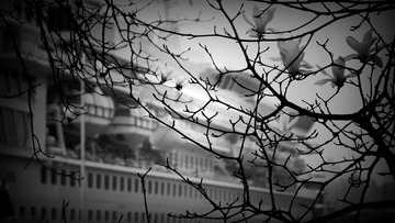DSC00005_