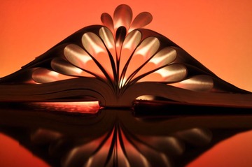 red figure of accounting text book
