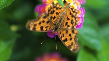 DSC_5743s