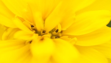 DSC_5777s