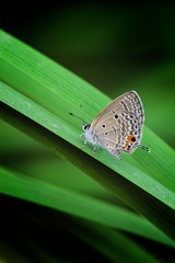 DSC_5795s