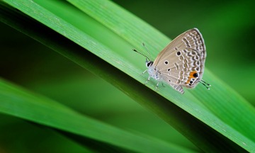 DSC_5805s