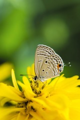 DSC_5837s