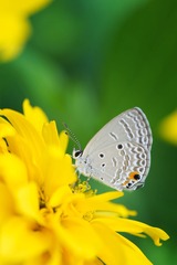 DSC_5862s