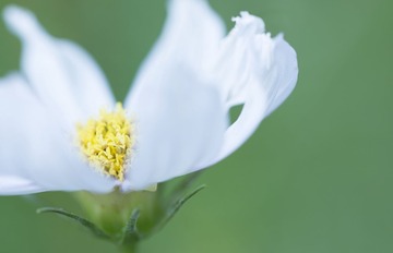 DSC_5898s